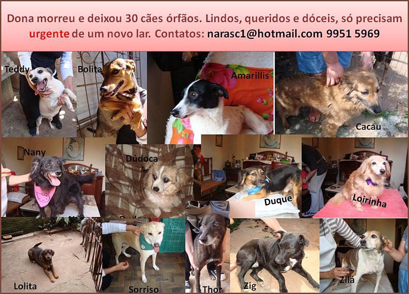 Clique para enviar e-mail